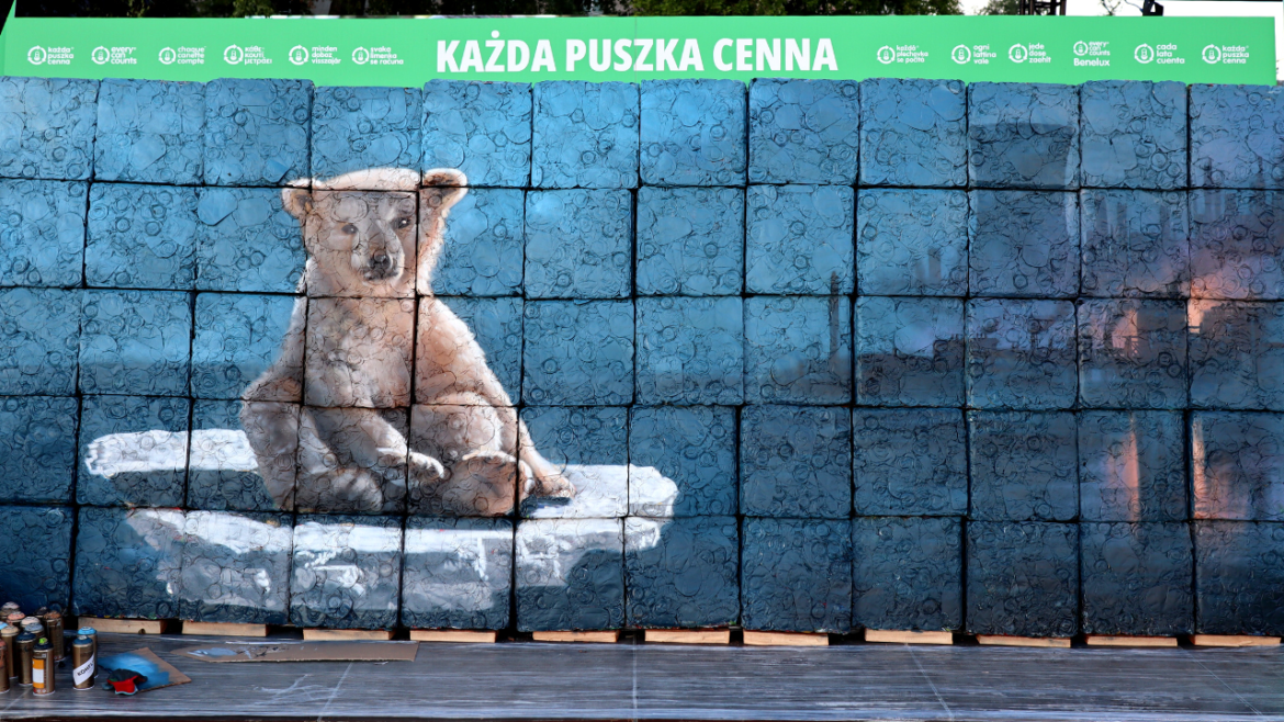 green film festiwal i kpc